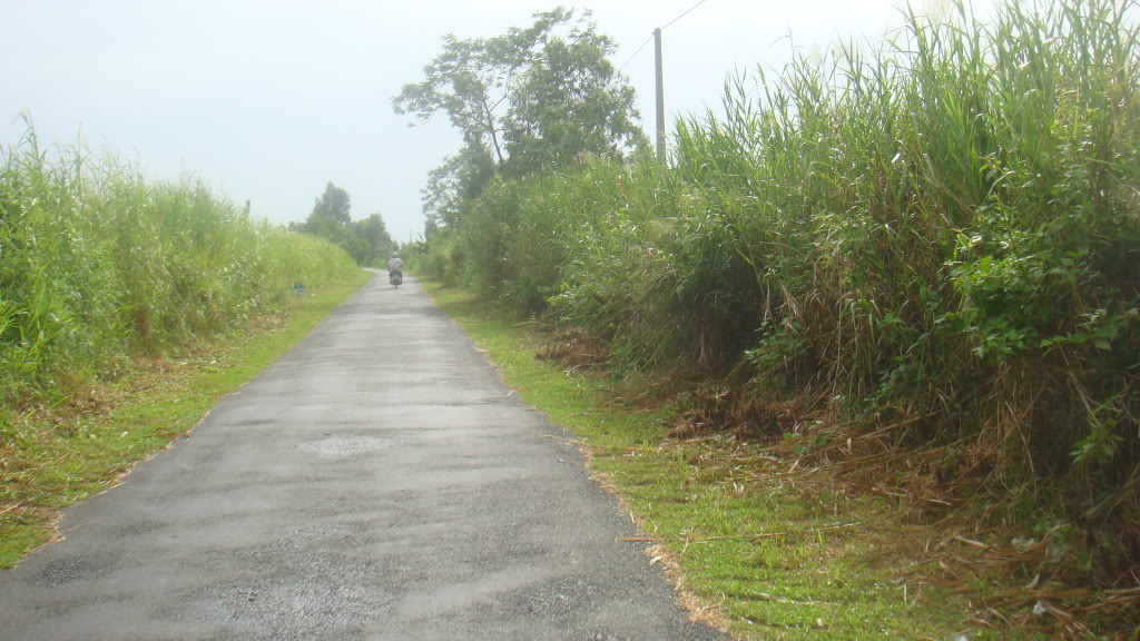164.jpg