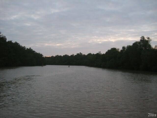 IMG_1072.jpg