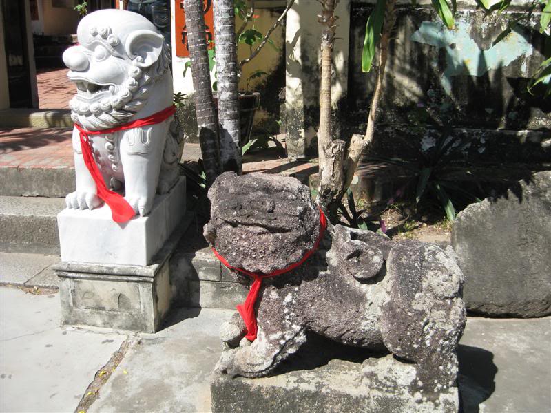IMG_2587Medium.jpg