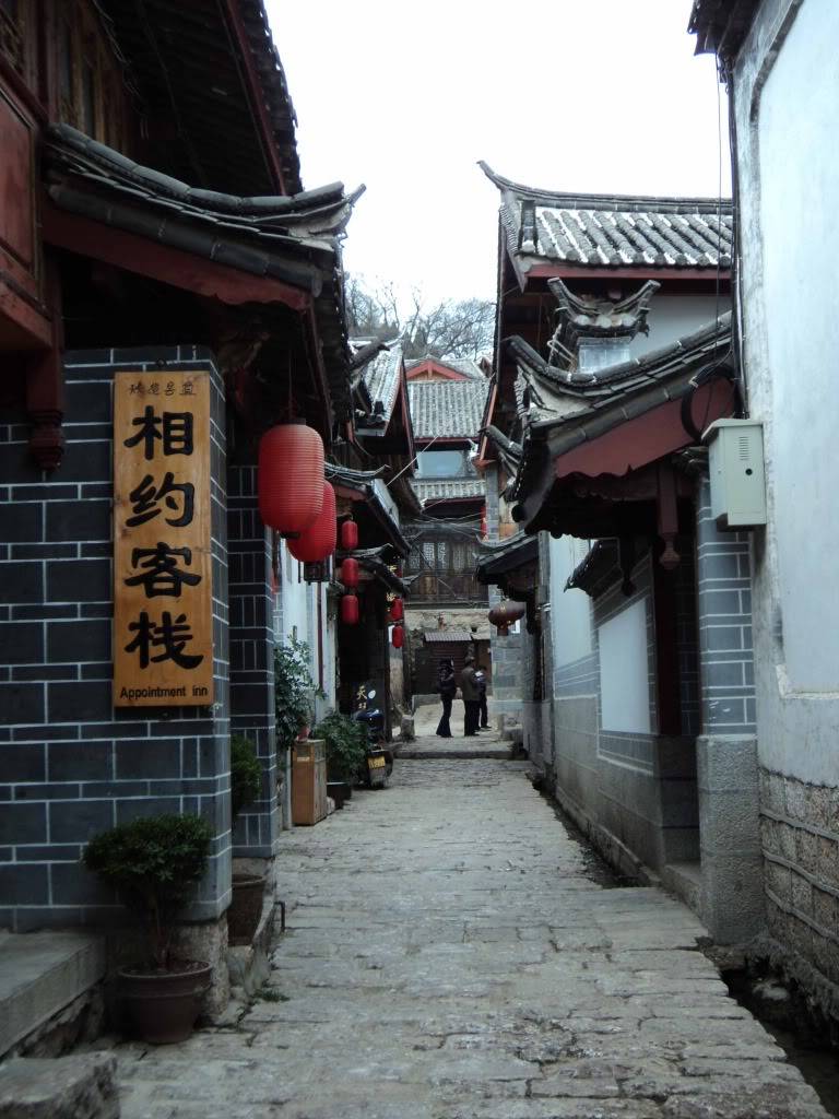 DSC01661.jpg