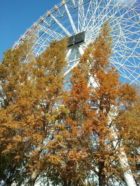 2011-12-04125833.jpg