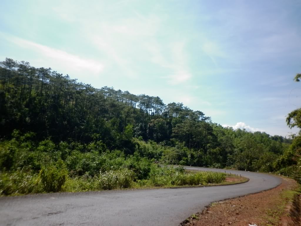 P1020065.jpg