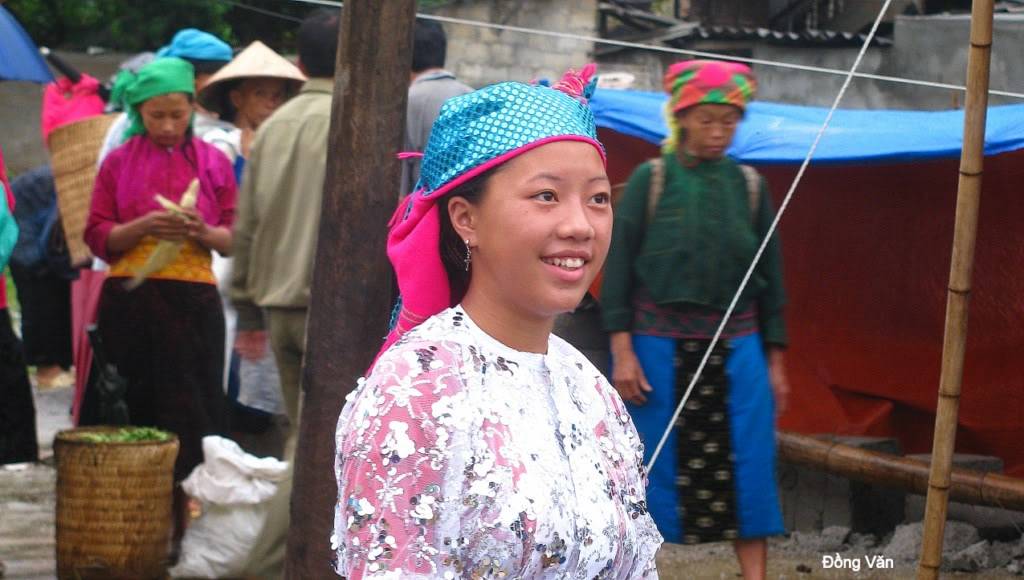 ngVn-0051024x768.jpg