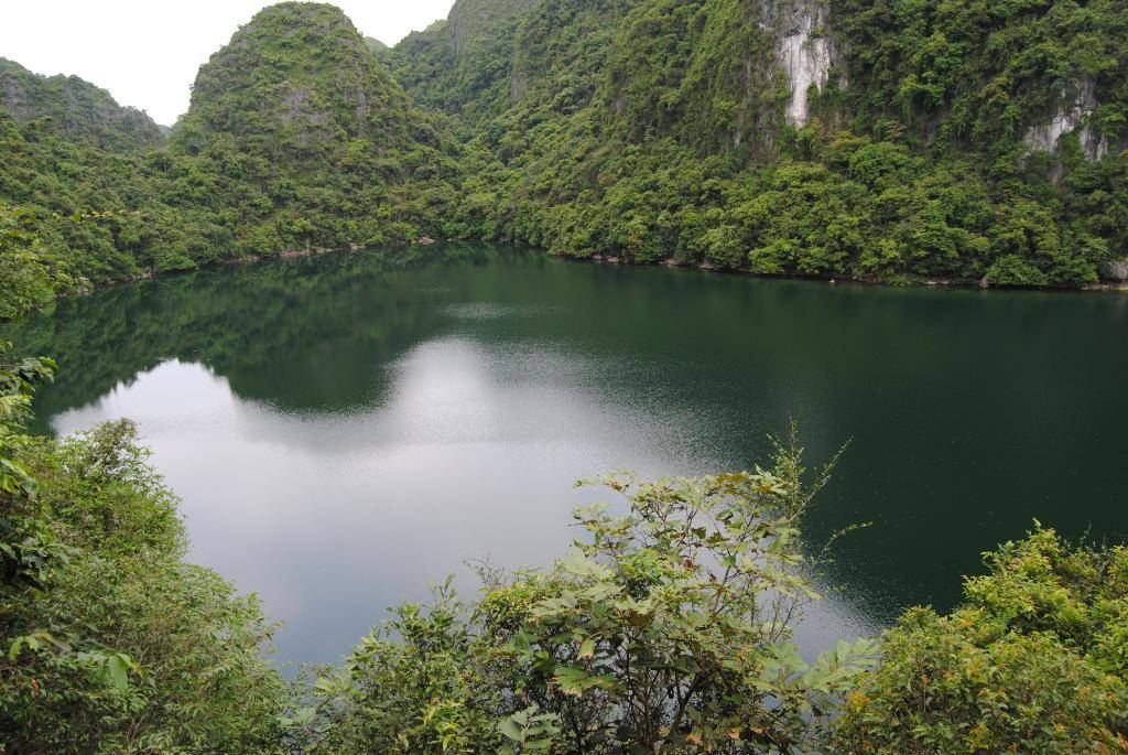 DSC_0167.jpg