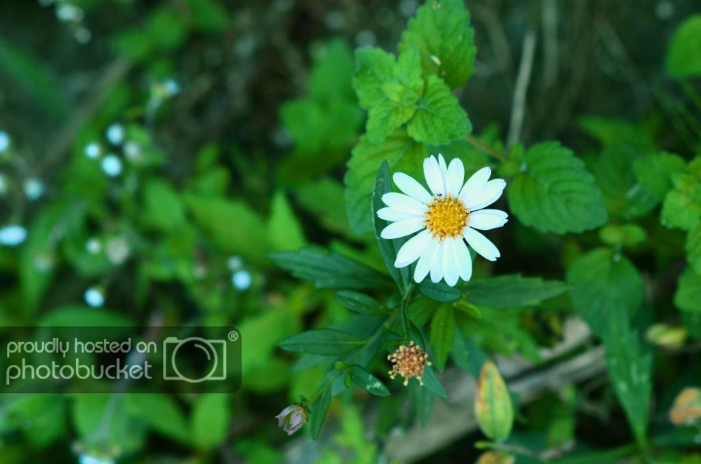 5453_zpsdca07440.jpg