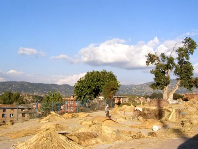 PA300321.jpg