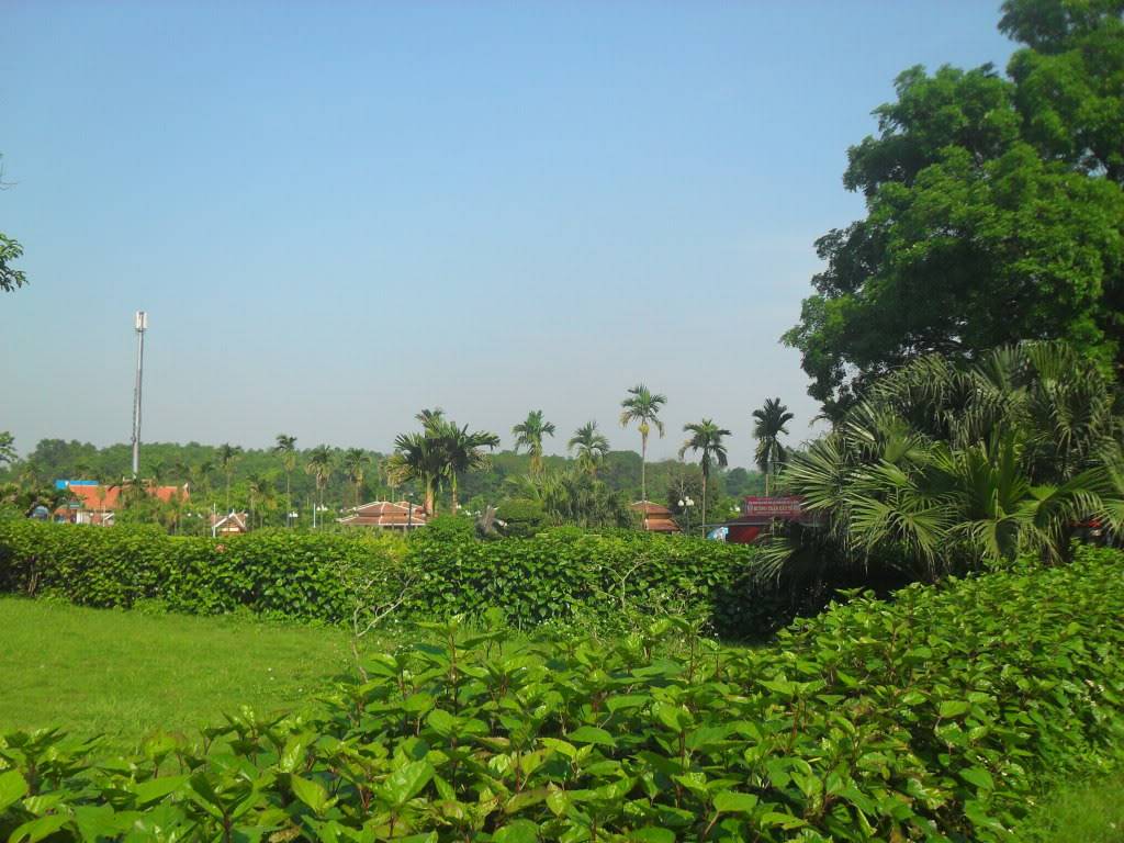 SDC14832.jpg