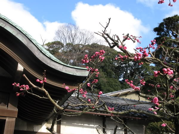 IMG_1938_resize.jpg