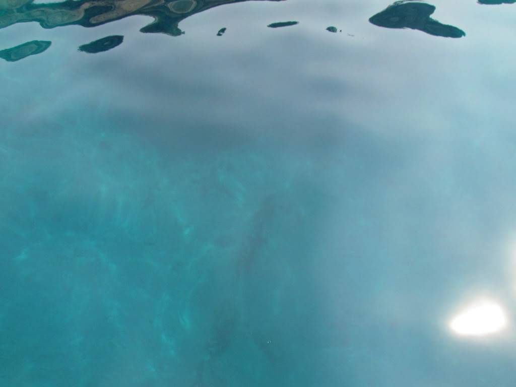 IMG_2456.jpg
