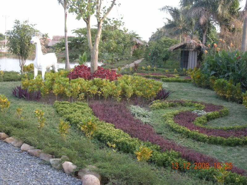 DSCN4286800x600.jpg