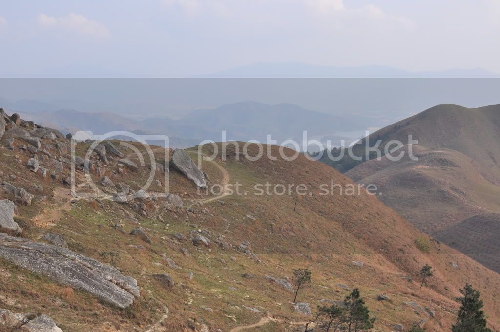 DSC_0176.jpg
