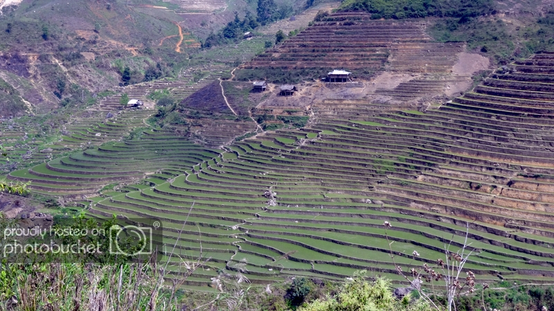 DSC09370_zps9d98db1f.jpg