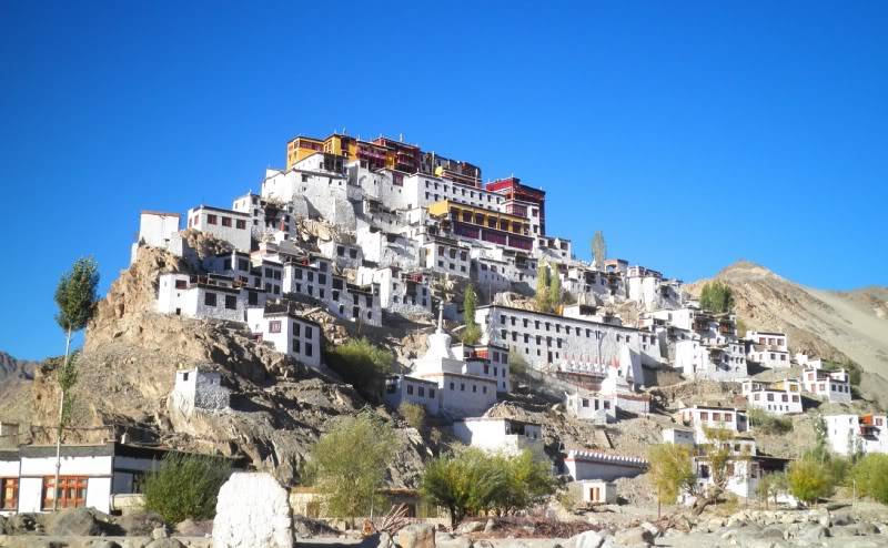 TSmatchinhphanchinh.jpg