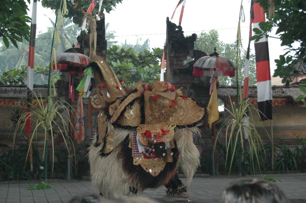 DSC_7953.jpg