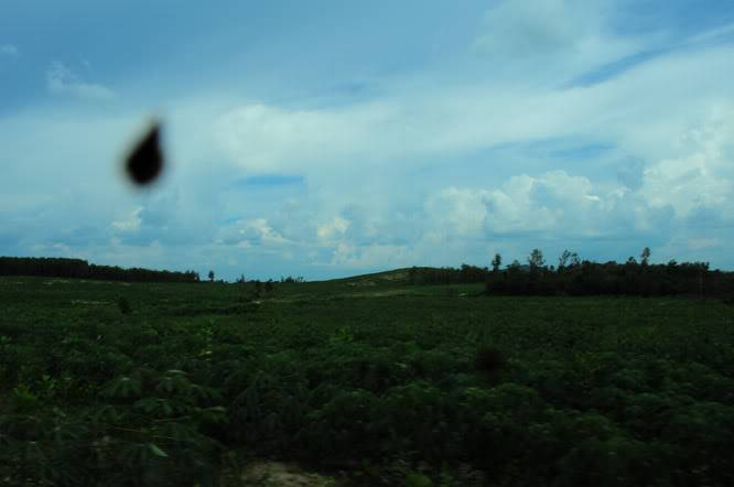 DSC_0324.jpg