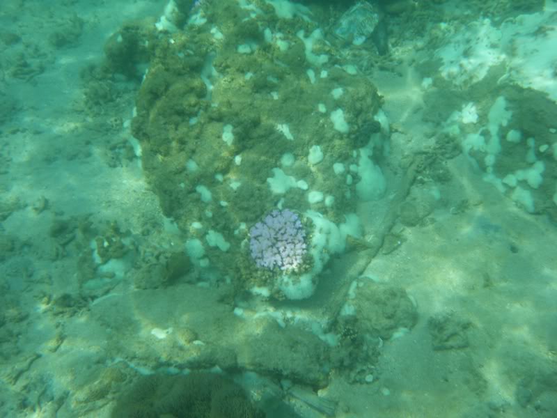 DSCF0108.jpg