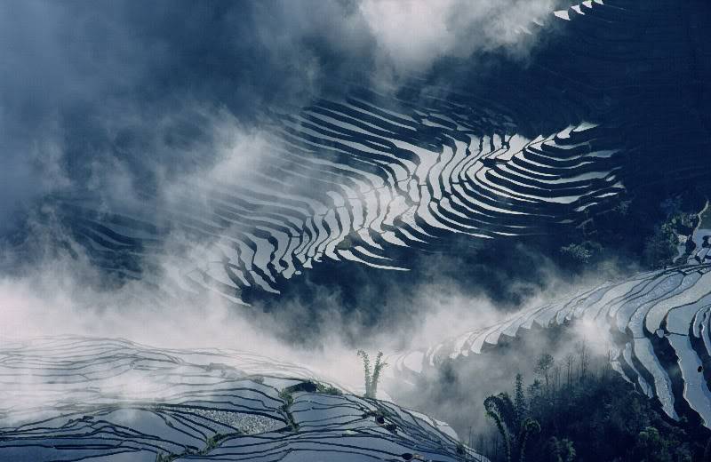 yuangyuang005net.jpg