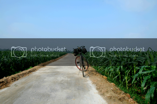 DSC_3597.gif