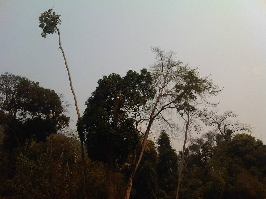 IMG00491-20120304-1327.jpg