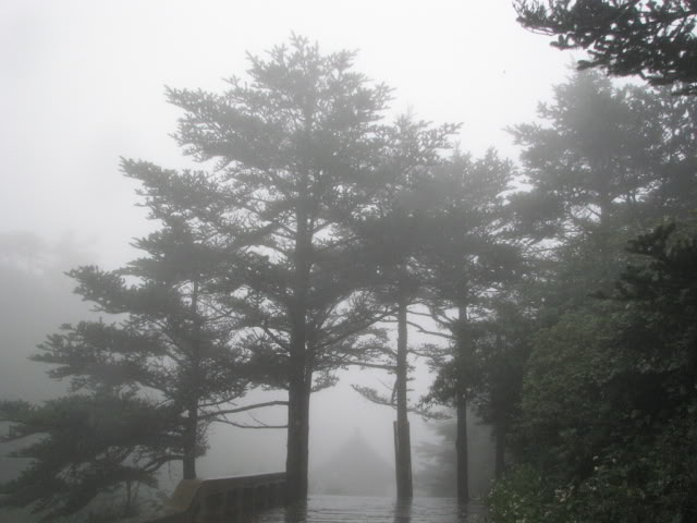 IMG_2630.jpg