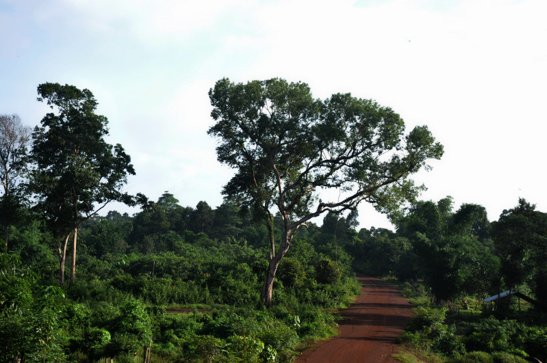 DSC_1447.jpg