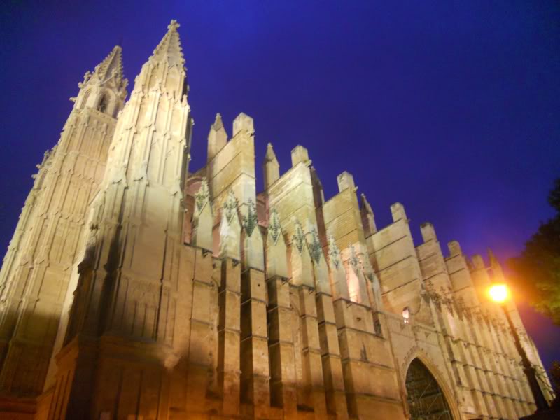 DSCN6513.jpg