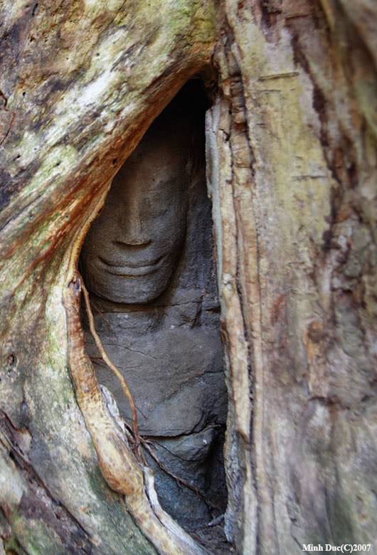 _MG_1306_smile_taprohm.jpg