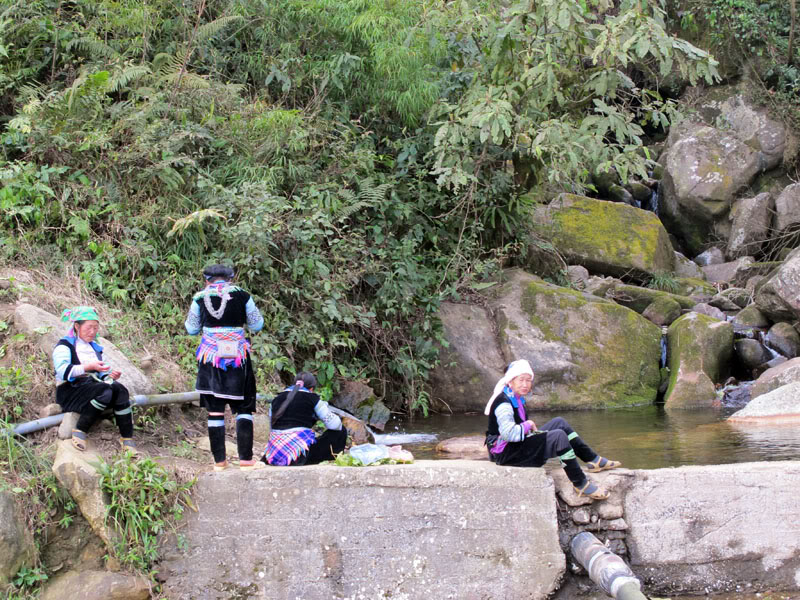 HongNgai2011178.jpg