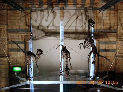 DSCN3696.JPG
