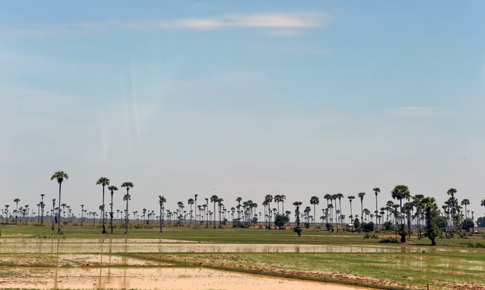 Duongdi5.jpg