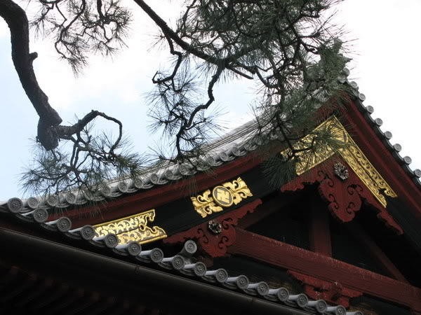 IMG_2376_resize.jpg