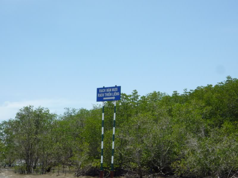 P1030235800x600.jpg