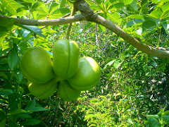 5909252586_dbe7ff94f0_m.jpg