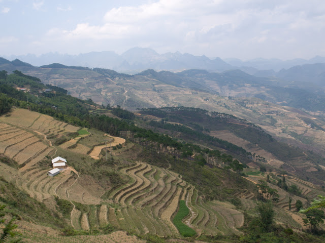 P5084160.JPG