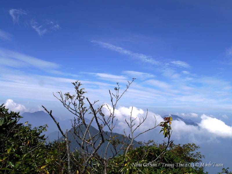 P1110135_resize.jpg