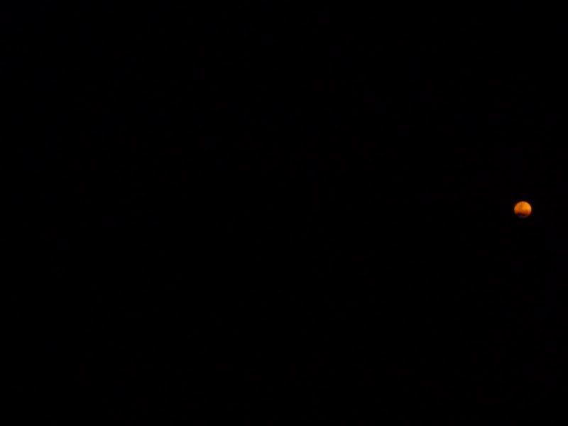 P1030371800x600.jpg
