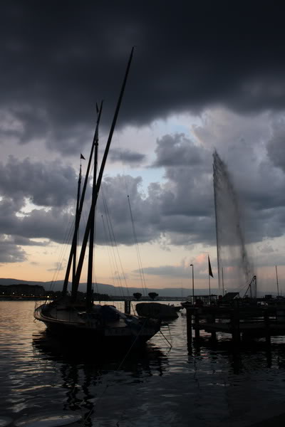 IMG_7899.jpg