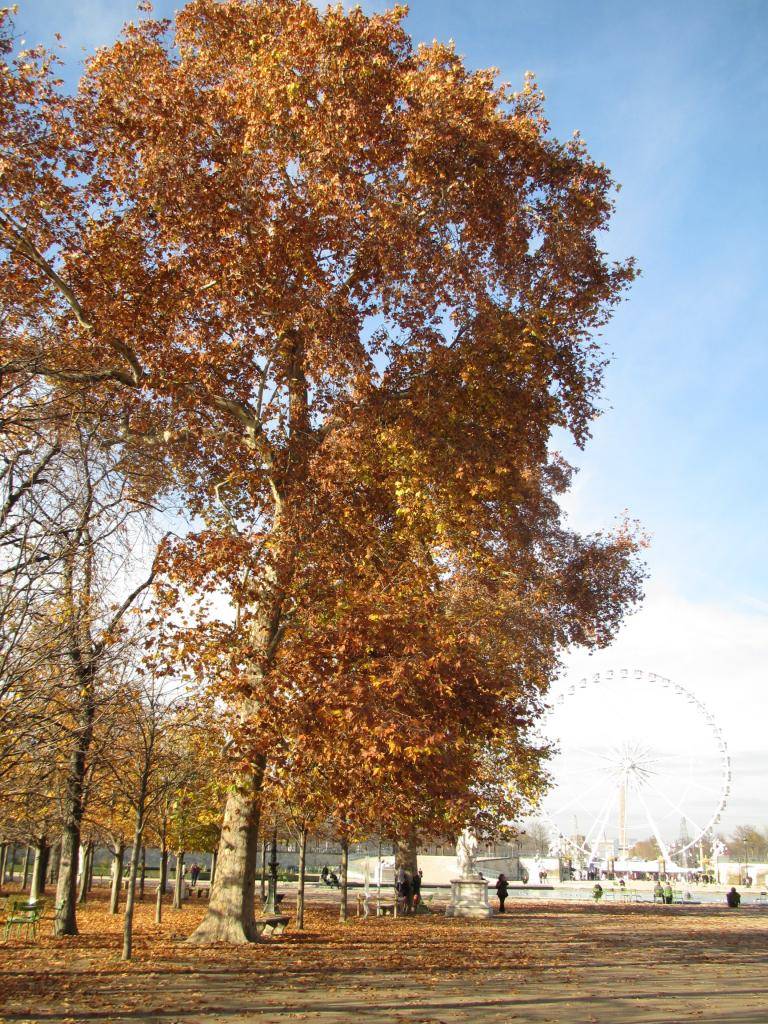 IMG_4157_zps97de95ab.jpg