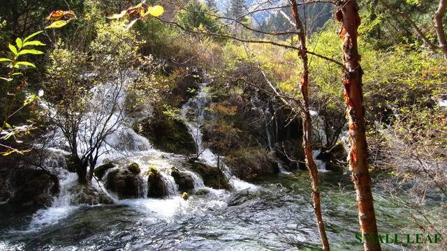 IMG_2639_1.jpg