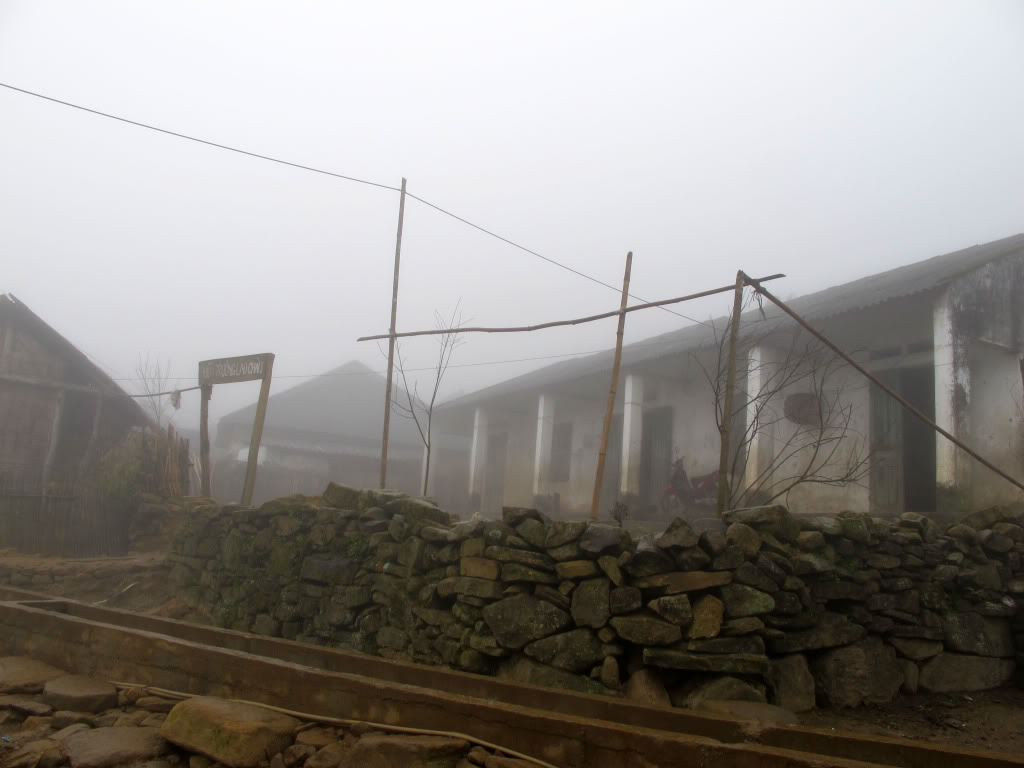 HongNgai2011733-1.jpg