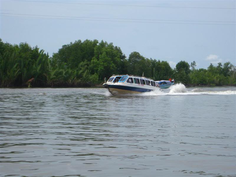 IMG_6493Medium.jpg