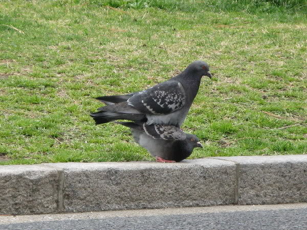 IMG_2097_resize.jpg