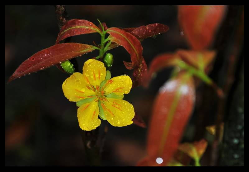 DSC_8990.jpg