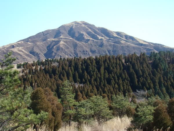 DSC02443_resize.jpg