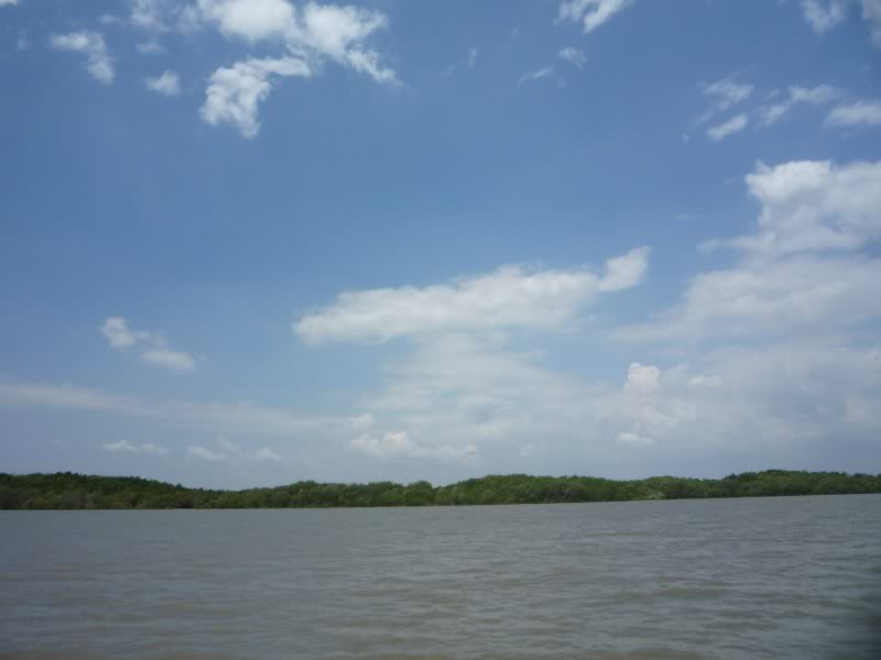 P1030233800x600.jpg
