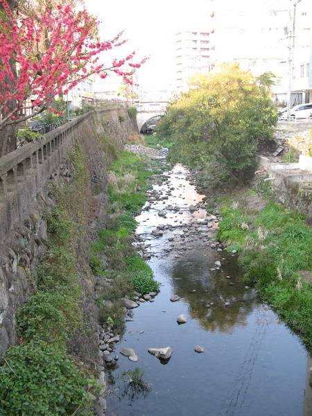 IMG_1067_resize.jpg
