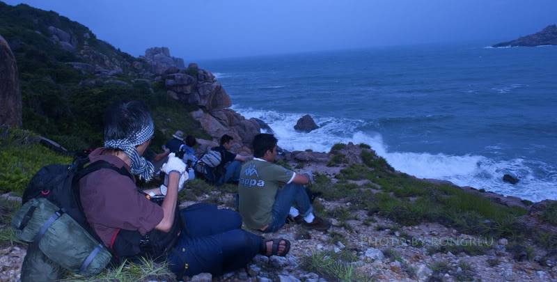 TIN_0750.jpg