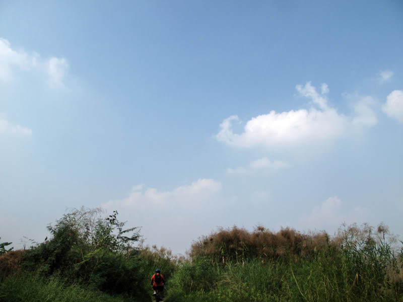 sh4.jpg
