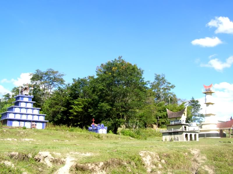 P7220259.jpg