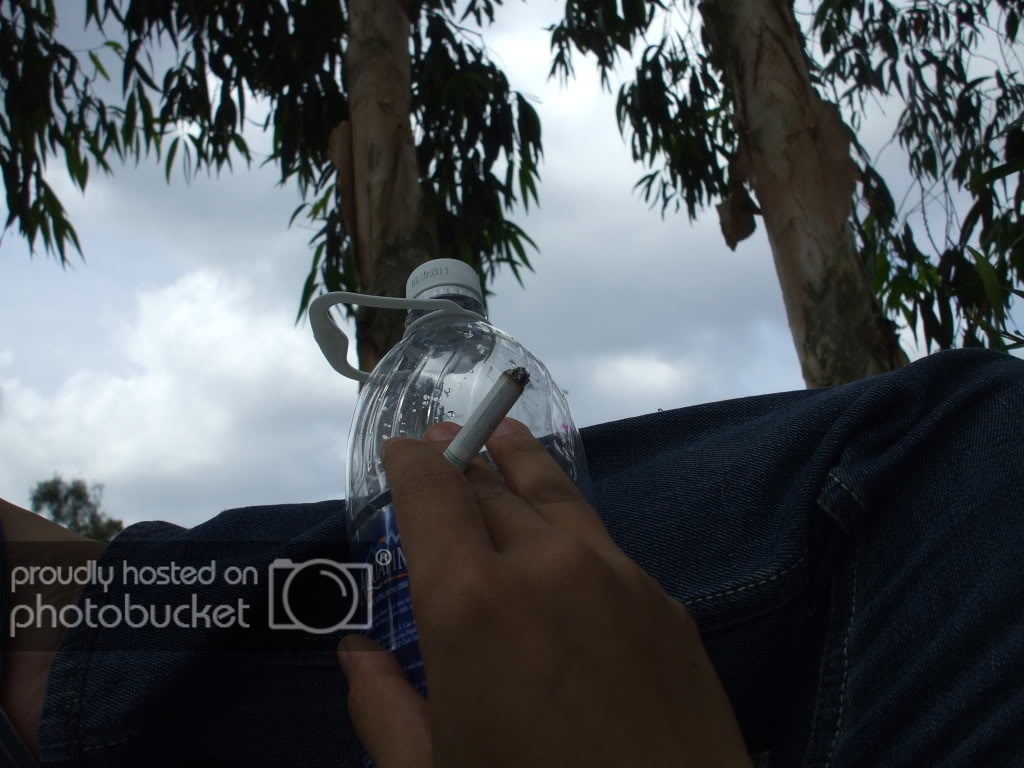 DSCF3900.jpg